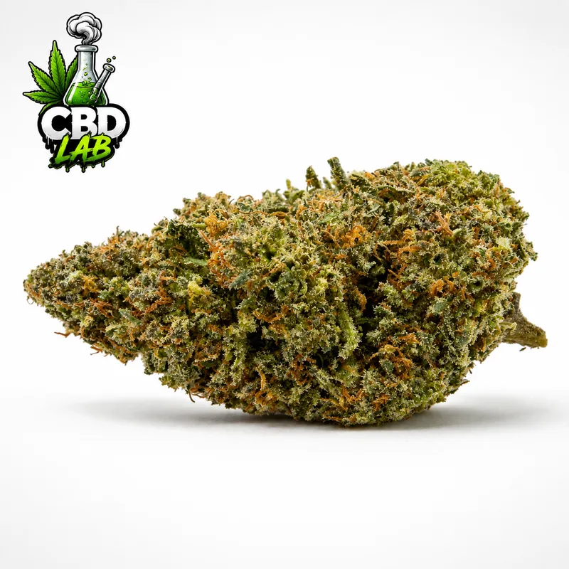 Watermelon 50% — CBD 9%, THC < 0,3 %
